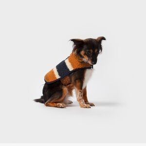 Shinola Pet: Berber Coat Stripe Brown
